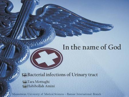 In the name of God Tara Mottaghi Habibollah Amini Bacterial infections of Urinary tract Mazandaran University of Medical Sciences – Ramsar International.