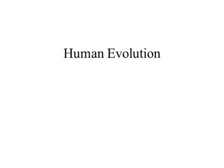 Human Evolution.