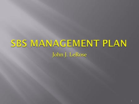 John J. LeRose 1.  Roles/Responsibilities/Organization  Approach  Goals and Objectives  Scope  Schedule  Funding profile  Risk management  EH&S.