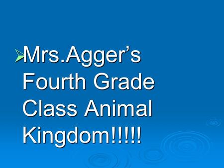  Mrs.Agger’s Fourth Grade Class Animal Kingdom!!!!!