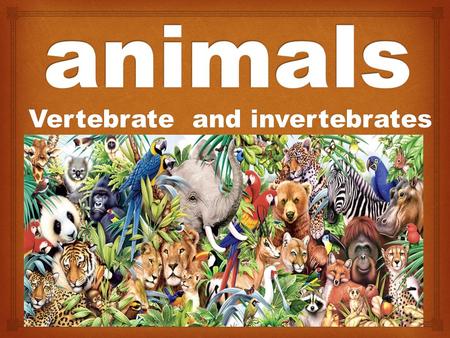 Vertebrate and invertebrates