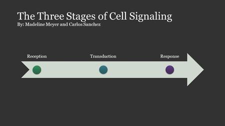 The Three Stages of Cell Signaling By: Madeline Meyer and Carlos Sanchez ReceptionTransductionResponse.