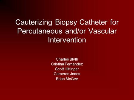 Cauterizing Biopsy Catheter for Percutaneous and/or Vascular Intervention Charles Blyth Cristina Fernandez Scott Hittinger Cameron Jones Brian McGee.