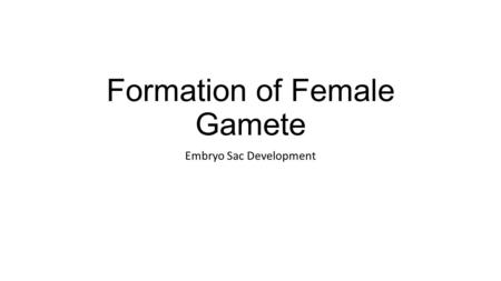 Formation of Female Gamete Embryo Sac Development.