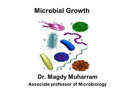 Dr. Magdy Muharram Associate professor of Microbiology Microbial Growth.