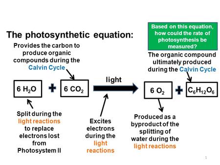 Photosynthesis: A Recap 1 Based on this equation, how could the rate of photosynthesis be measured? The photosynthetic equation: light Excites electrons.