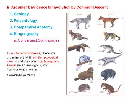 B. Argument: Evidence for Evolution by Common Descent 1. Geology 2. Paleontology 3. Comparative Anatomy 4. Biogeography a. Convergent Communities In similar.