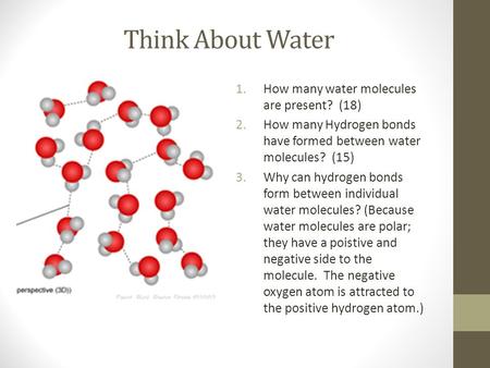 Think About Water 1.How many water molecules are present? (18) 2.How many Hydrogen bonds have formed between water molecules? (15) 3.Why can hydrogen bonds.