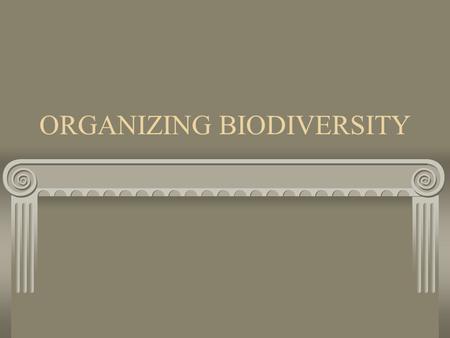 ORGANIZING BIODIVERSITY. A SPECIES How do we define a species? A reproductive population that occupies a specific niche (plays a role) in nature Individuals.