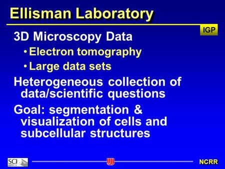 IGP NCRR Ellisman Laboratory 3D Microscopy Data Electron tomography Large data sets Heterogeneous collection of data/scientific questions Goal: segmentation.