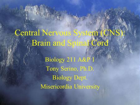 Central Nervous System (CNS): Brain and Spinal Cord Biology 211 A&P 1 Tony Serino, Ph.D. Biology Dept. Misericordia University.