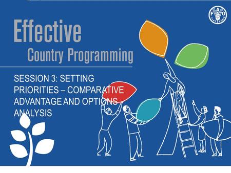 SESSION 3: SETTING PRIORITIES – COMPARATIVE ADVANTAGE AND OPTIONS ANALYSIS.