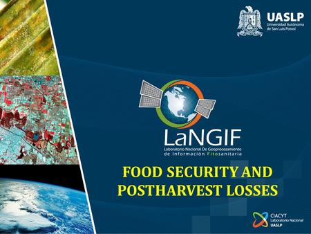 FOOD SECURITY AND POSTHARVEST LOSSES. FOOD SECURITY AND POSTHARVEST LOSSES.