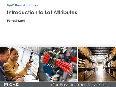 Introduction to Lot Attributes Forrest Mori QAD Item Attributes.