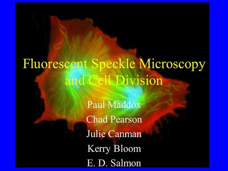 Fluorescent Speckle Microscopy and Cell Division