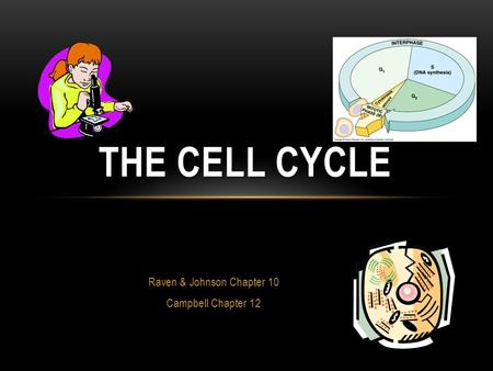 Raven & Johnson Chapter 10 Campbell Chapter 12 THE CELL CYCLE.