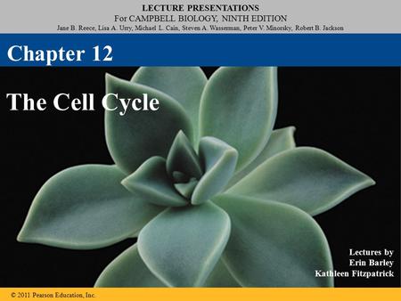 Chapter 12 The Cell Cycle.