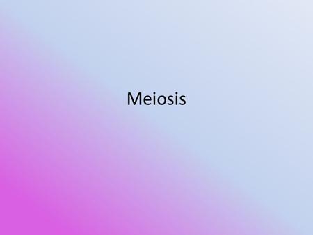 Meiosis. Terms you need to know Zygote: The fusion of sperm and egg. Gamete: A mature male (sperm) or female (egg) germ cell that is able to unite with.