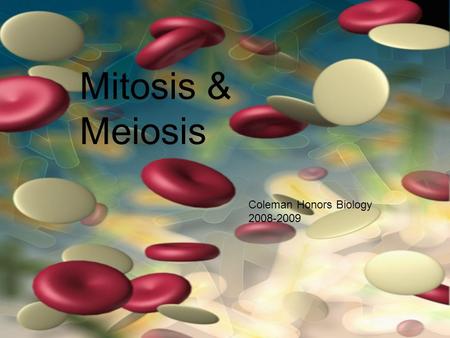 Mitosis & Meiosis Coleman Honors Biology 2008-2009.