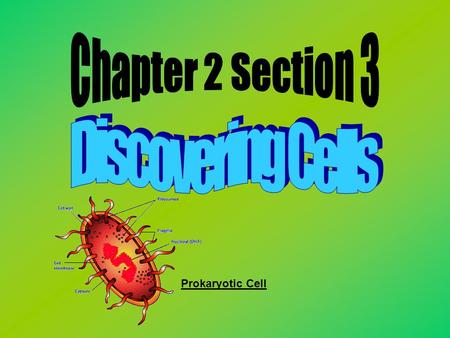 Prokaryotic Cell. Key Terms 1.Cells 2.Microscope 3.Cell Theory Leaf under a microscope Microscope Infected red blood cells.