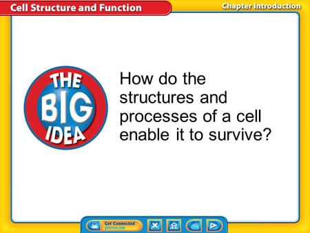 Chapter Introduction How do the structures and processes of a cell enable it to survive?