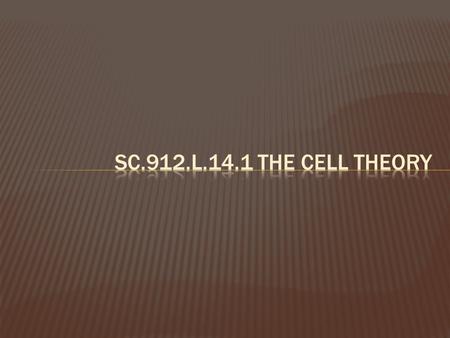 SC.912.L.14.1 The Cell Theory.