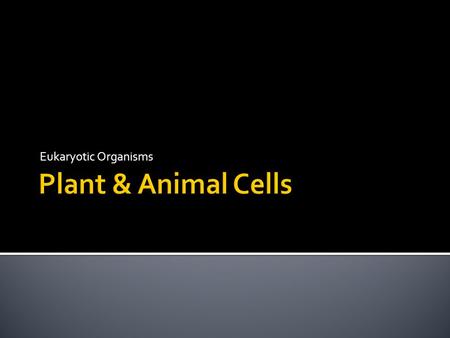 Eukaryotic Organisms. Can you identify any plant structures?