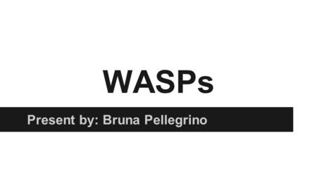 WASPs Present by: Bruna Pellegrino. Women Airforce Service Pilots *1,100 volunteers women pilots * military aircraft stateside *tested planes to be use.