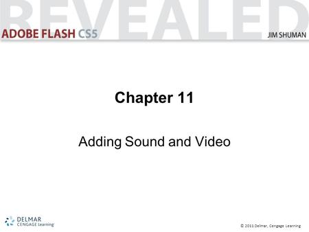 © 2011 Delmar, Cengage Learning Chapter 11 Adding Sound and Video.