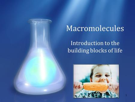 1 Macromolecules Introduction to the building blocks of life.