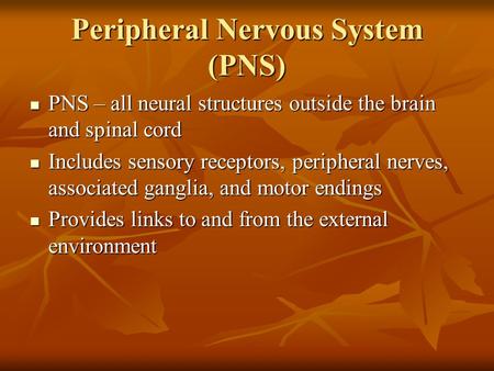 Peripheral Nervous System (PNS) PNS – all neural structures outside the brain and spinal cord PNS – all neural structures outside the brain and spinal.