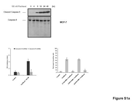 0 4 8 12 24 48 (hr) Cleaved Caspase-9 Caspase-8 100 nM Paclitaxel MCF-7 Figure S1a.