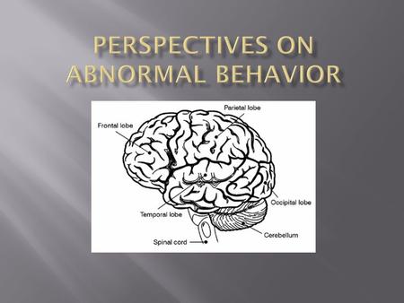 Perspectives on Abnormal Behavior