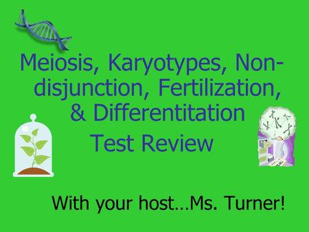 With your host…Ms. Turner! Meiosis, Karyotypes, Non- disjunction, Fertilization, & Differentitation Test Review.