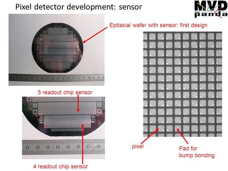 Pixel detector development: sensor