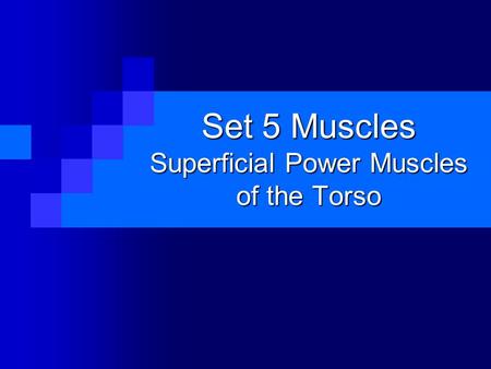 Set 5 Muscles Superficial Power Muscles of the Torso.