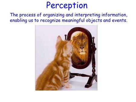 Perception The process of organizing and interpreting information, enabling us to recognize meaningful objects and events.