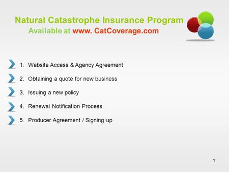 1 Natural Catastrophe Insurance Program 1.Website Access & Agency Agreement 2.Obtaining a quote for new business 3.Issuing a new policy 4.Renewal Notification.