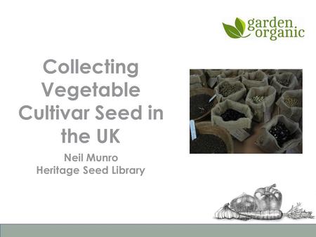 Collecting Vegetable Cultivar Seed in the UK Neil Munro Heritage Seed Library.