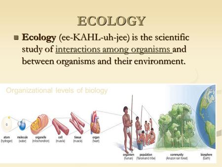 ECOLOGY Ecology (ee-KAHL-uh-jee) is the scientific study of interactions among organisms and between organisms and their environment. Ecology (ee-KAHL-uh-jee)