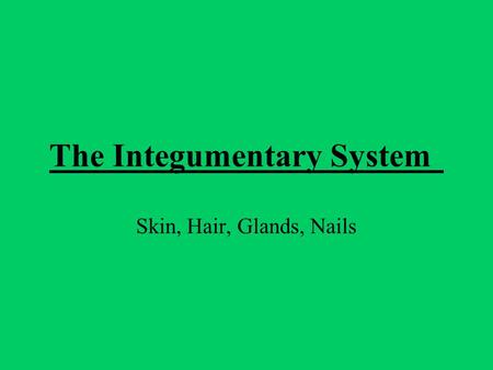 The Integumentary System