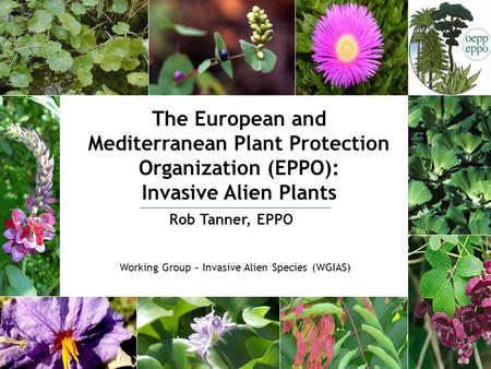 The European and Mediterranean Plant Protection Organization (EPPO): Invasive Alien Plants Rob Tanner, EPPO Working Group – Invasive Alien Species (WGIAS)