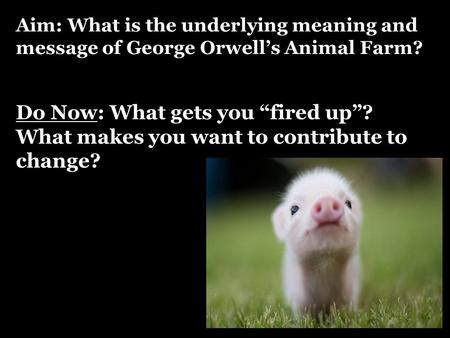 Aim: What is the underlying meaning and message of George Orwell’s Animal Farm? Do Now: What gets you “fired up”? What makes you want to contribute to.