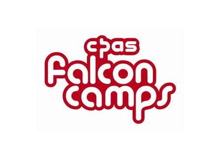 Fun-packed holidays for all About 500 children and young people enjoy a holiday with Falcon Camps each year.