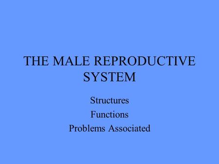 THE MALE REPRODUCTIVE SYSTEM Structures Functions Problems Associated.