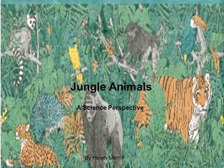 Jungle Animals A Science Perspective By Helen Merrill.