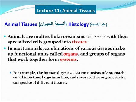 Animal Tissues (أنسجة الحيوان) Histology (علم الانسجة)