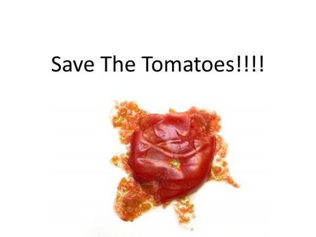 Save The Tomatoes!!!!. Project Goal: Use the materials provided to create a shelter to protect the tomatoes from being smashed.