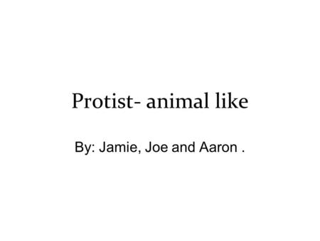 Protist- animal like By: Jamie, Joe and Aaron ..