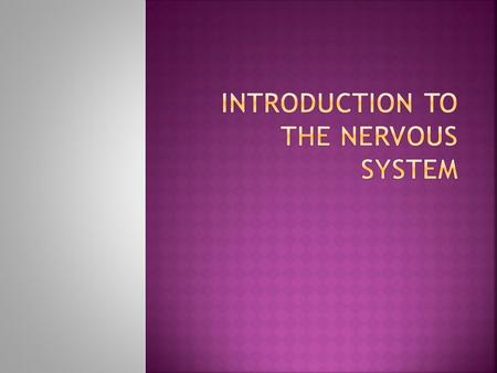  What organ coordinates most of the activities of the nervous system?  Through what part of the body do most messages reach or leave the brain?  The.